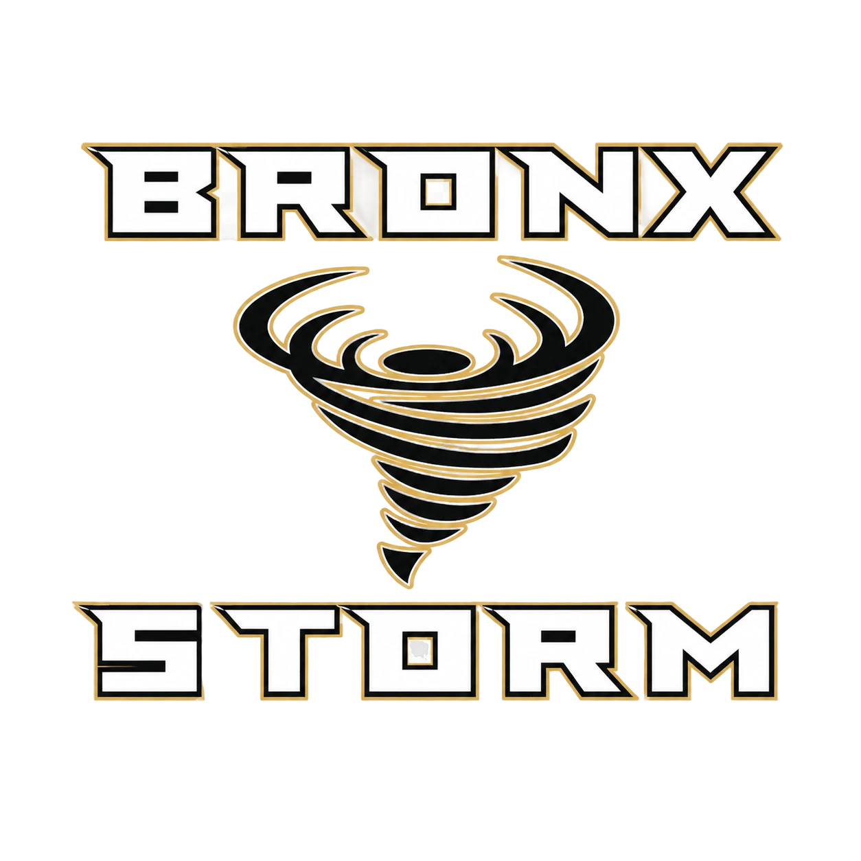 Bronx Storm logo