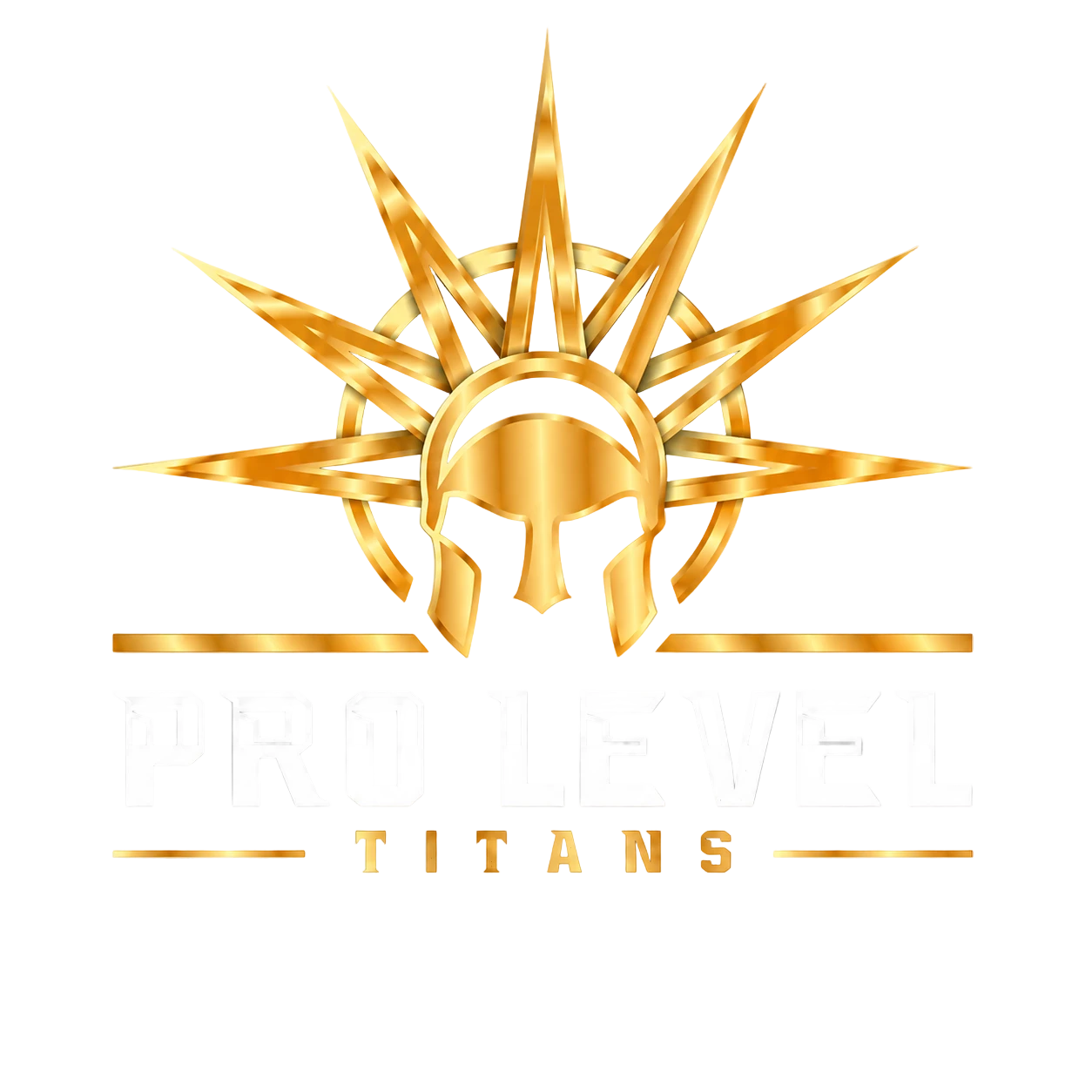 Pro Level Titans logo