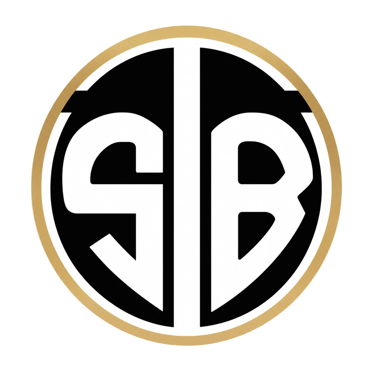 Team STB logo